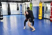 桑搏技能爆料最新,实战技巧与策略深度解析