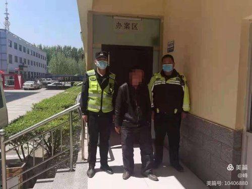 新乐交警最新爆料,揭秘交通违法行为背后的真相